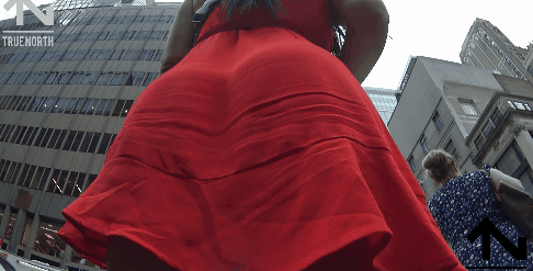 23.gif