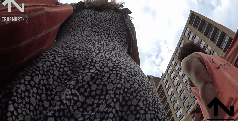 23.gif