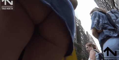 1.gif