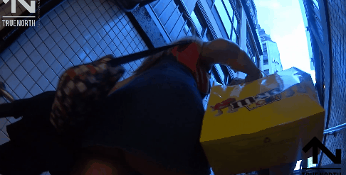 5.gif