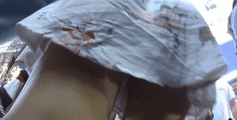 12.gif