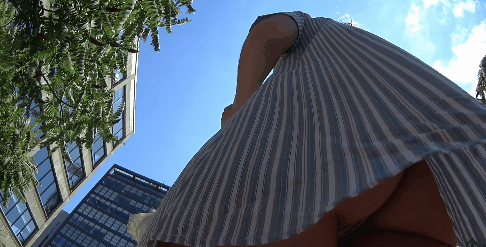 41.gif